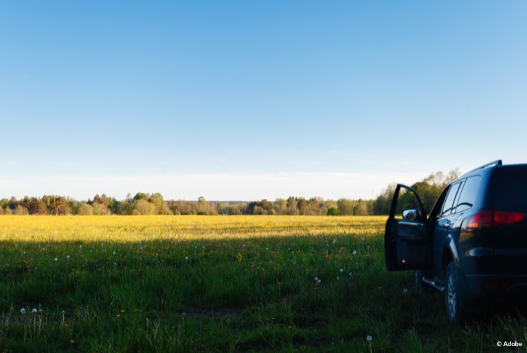 A Chrysler Pacifica vehicle is parked in a grassy field with some blooming dandelions. The driver's side door is left ajar.