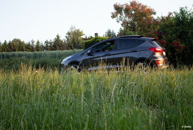 A black Ford Fiesta SUV is parked in the middle of a tall grassy field.