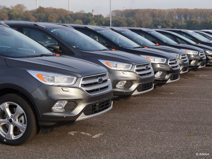 A line of dark grey SUVs parked in a numbered parking lot.